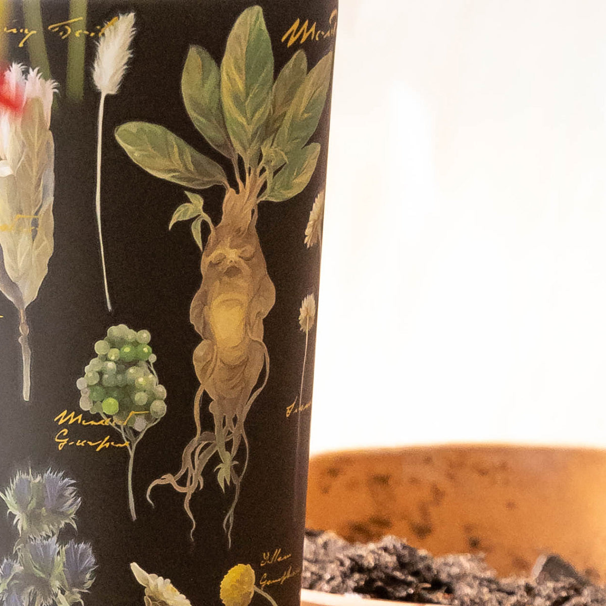 harry-potter-cold-cup-b8 Herbology-3.jpg